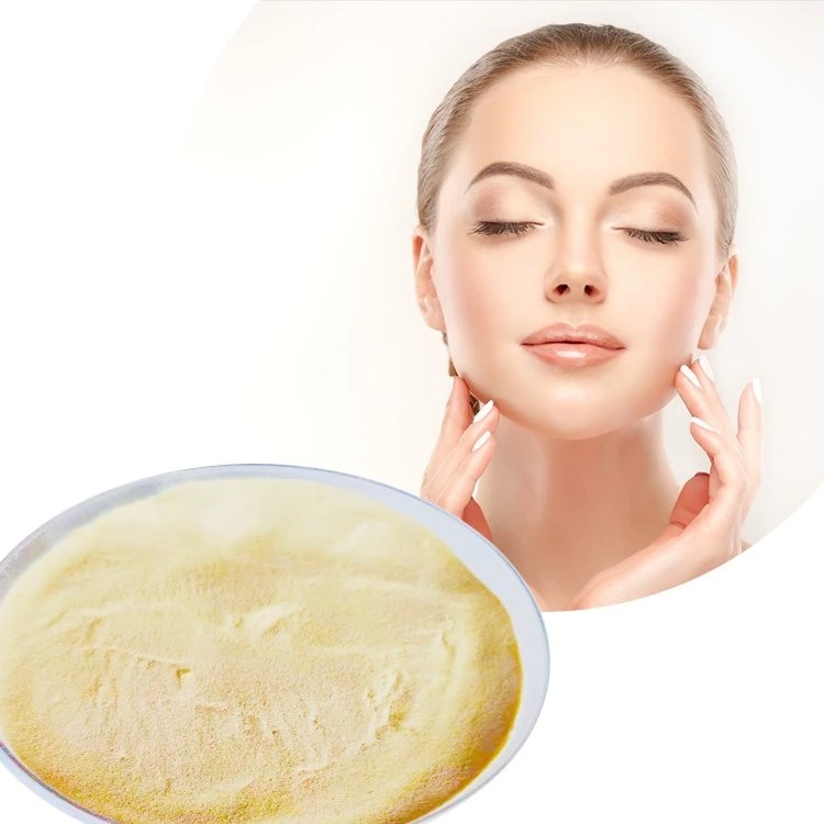 soybean protein peptide kedelai peptida protein