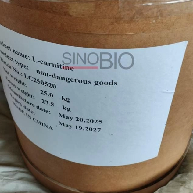 Bubuk L-Karnitin Food Grade Dari China untuk Minuman Energi dan Makanan Ringan