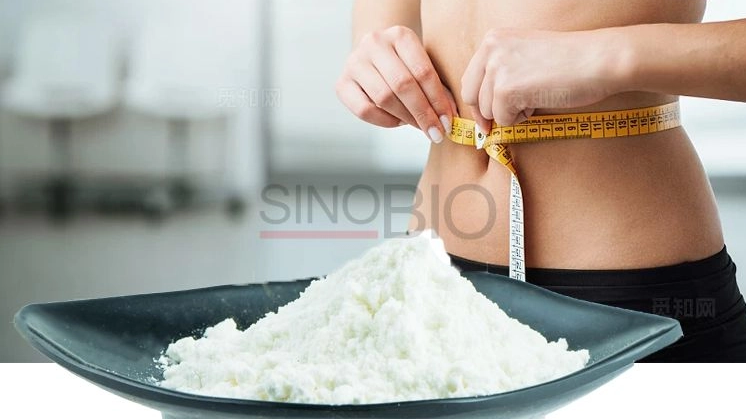 L-Carnitine: Analisis Komprehensif 'Kapten Transportasi' untuk Pembakaran Lemak