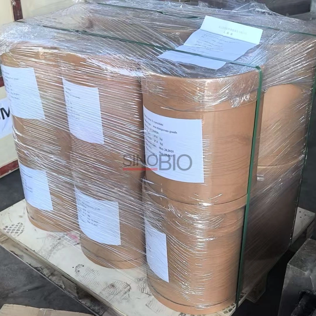 Bubuk L-Karnitin Food Grade Dari China untuk Minuman Energi dan Makanan Ringan