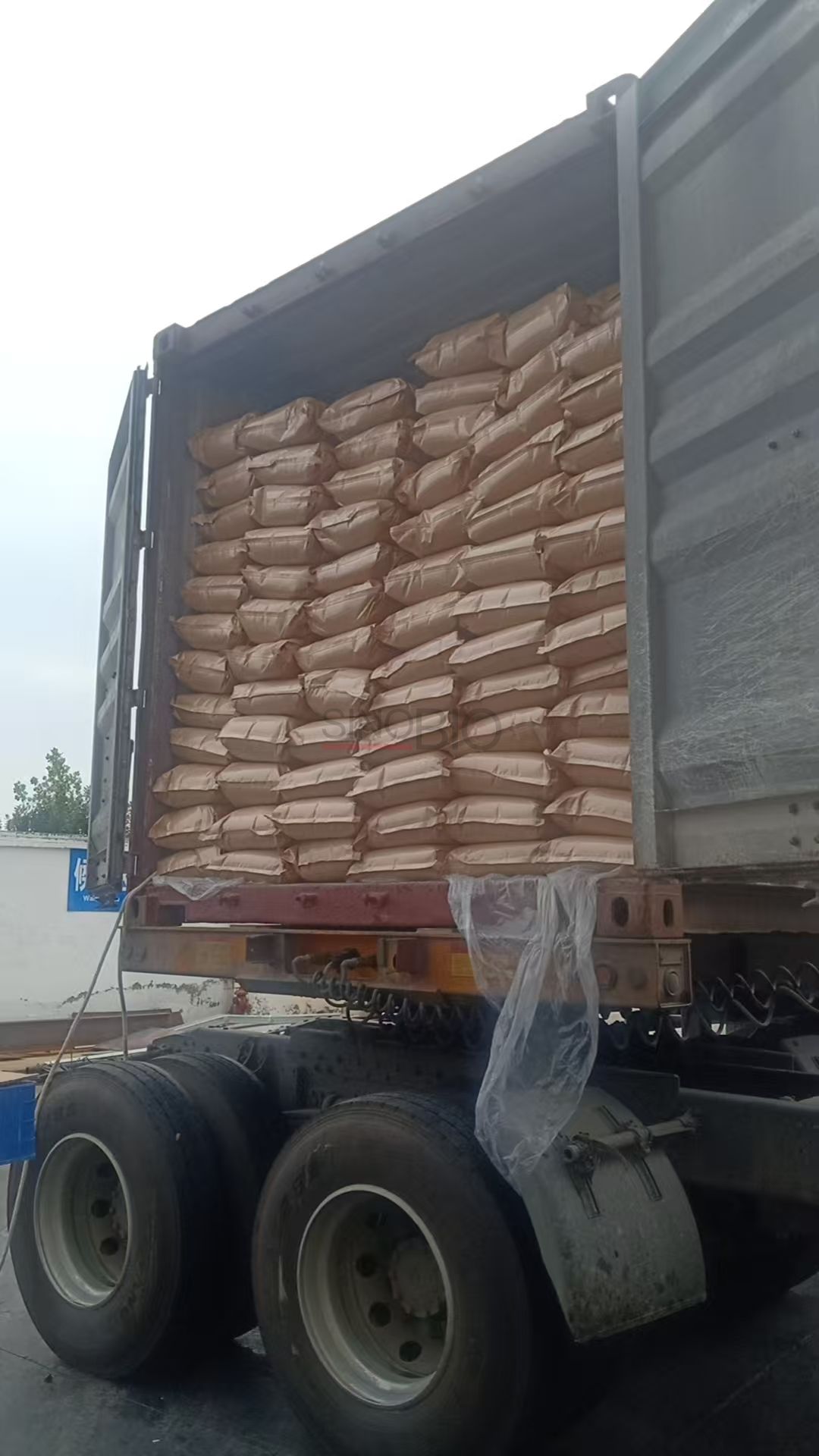 Paket Kalsium Laktat (1)